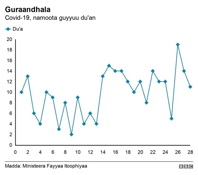 Giraafi du'aatii sababa koronaan mudatee agarsiisu