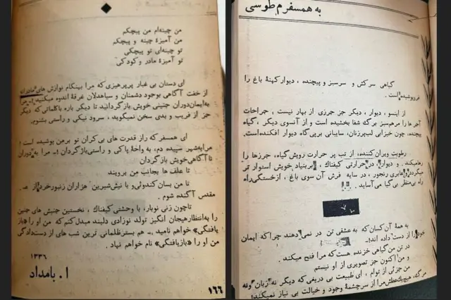 شعر شاملو برای همسفرش طوسی
