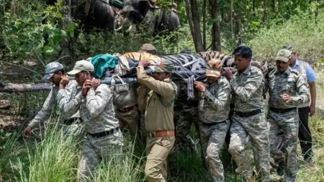 เจ้าหน้าที่แบกเอ็มบี 2 ก่อนนำไปขึ้นรถบรรทุก