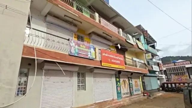 நீலகிரி: பூஞ்சை ஈக்கள் படையெடுப்பால் மக்கள் அவதி, கடைகளை அடைக்கும் வியாபாரிகள்