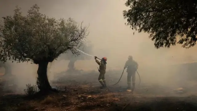 Гасіння лісової пожежі під Афінами у Греції 19 липня 2023 року