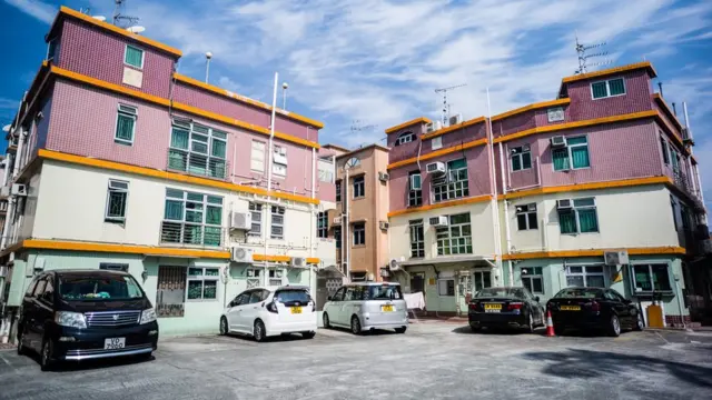 香港新界某原居民村落的「丁屋」