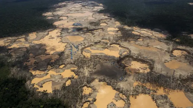 Vista de campamentos ilegales de extracción de oro en la selva.