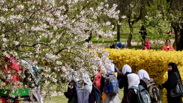 ਕਸ਼ਮੀਰ ਚ ਬਹਾਰ ਦੌਰਾਨ ਖਿੜੇ ਫੁੱਲ