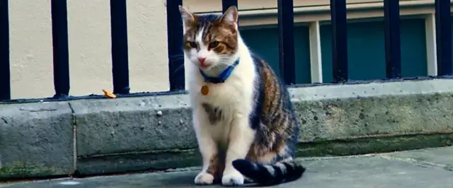 Ларриб Главный Мышелов