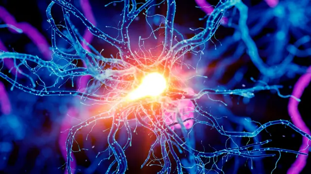 मज्जातंतू 