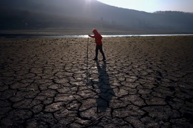 Düzce'de su seviyesi düşen Hasanlar Barajı 