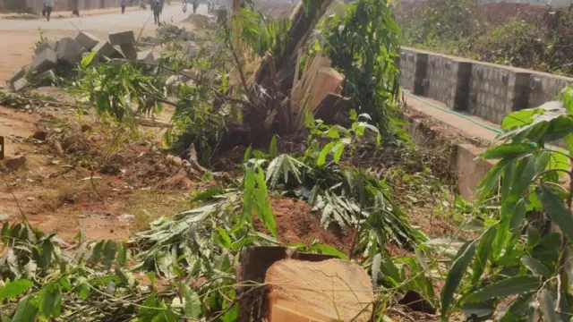 విశాఖలో చెట్ల నరివేత 