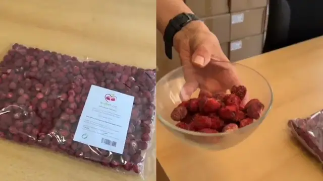 Германияга жеткен кургатылган кулпунай 