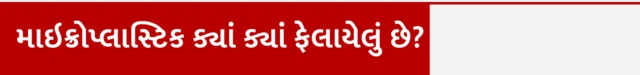 શાકભાજી, ગાજર, કંદમૂળ, માઇક્રોપ્લાસ્ટિક, હેલ્થ, બીબીસી ગુજરાતી