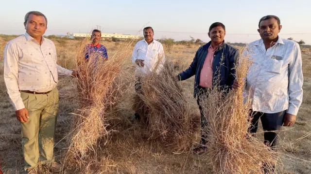 બીબીસી ગુજરાતી કચ્છ ગૌશાળા ખેડૂત ગાય દૂધ કોઓપરેટિવ