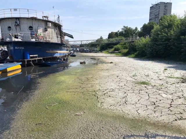 дунав, низак водостај дунава, дунав у Београду