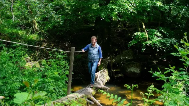 ગાયોને ખેતરોમાં રાખવાને બદલે, તેઓ નો-ફેન્સ જીપીએસ સિસ્ટમનો ઉપયોગ કરીને વૂડલેન્ડમાંથી દેશી પશુઓને દૂર કરવા માગે છે.