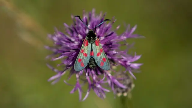 புதிய பாலியல் புரட்சிக்கு நாம் தயாராக இருக்கிறோமா?