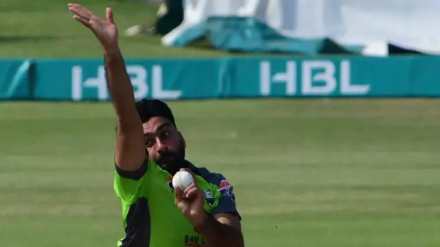 सलमान मिर्जा