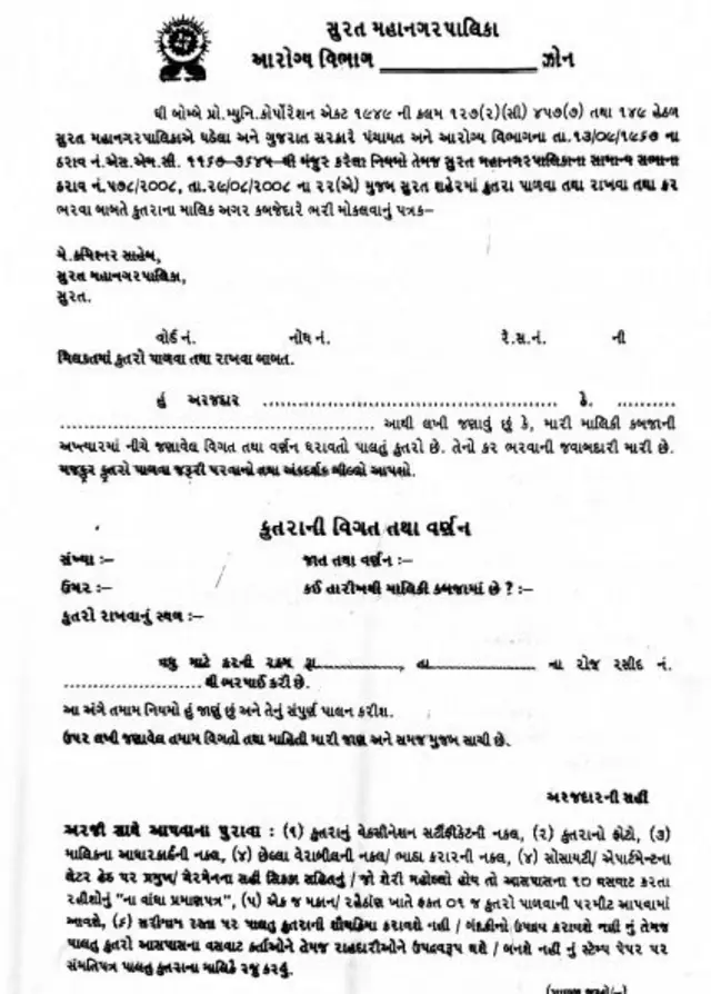 કૂતરું, પ્રાણી, સુરત, ગુજરાત, બીબીસી ગુજરાતી