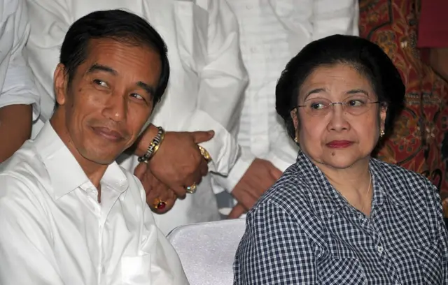 Pada 2014, Ketua Umum PDI Perjuangan Megawati Soekarnoputri mengeluarkan surat perintah harian yang isinya mendukung Joko Widodo sebagai calon presiden PDI Perjuangan.