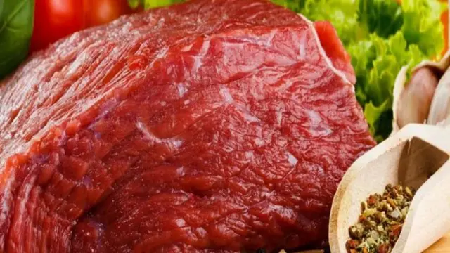 அல் நூர் எக்ஸ்போர்ட்ஸ்