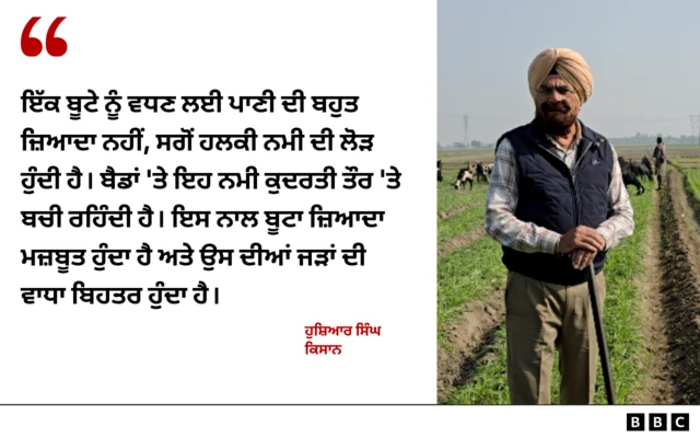 ਹੁਸ਼ਿਆਰ ਸਿੰਘ