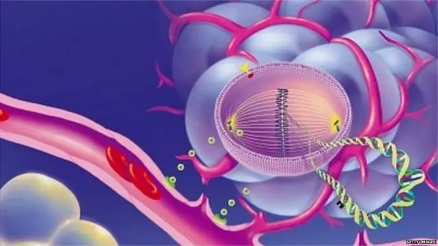 પ્રતીકાત્મક તસવીર