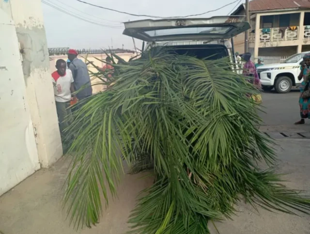 Imọ ọpẹ niluu Ilorin