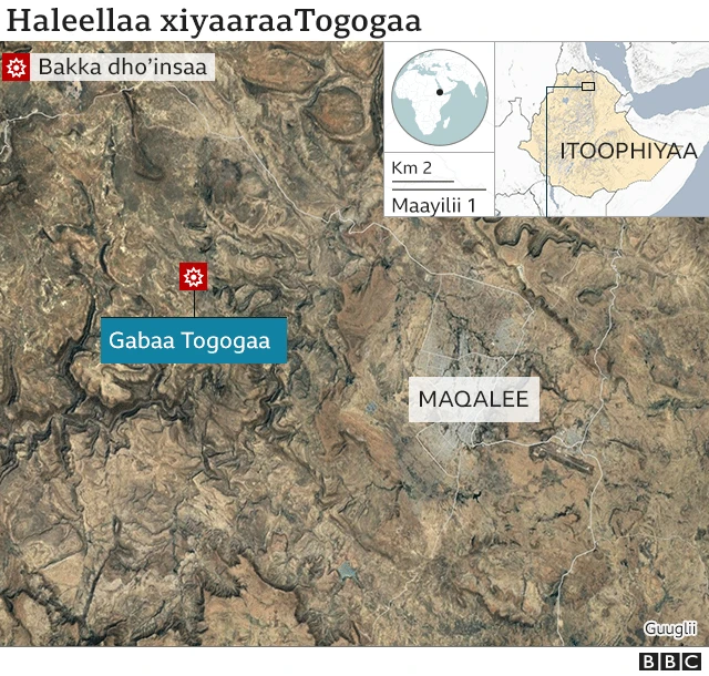 Naannoo Tigraay lafa haleellaan itti raawwatame