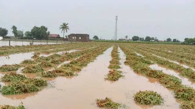 ગુજરાત, હવામાન, ચોમાસું