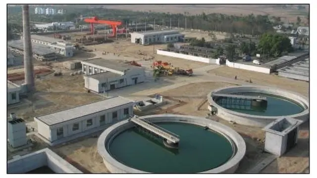 Koylakdagi dumba surati