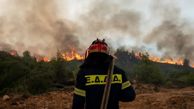 Fire-fighters tackle a wildfire near Athens