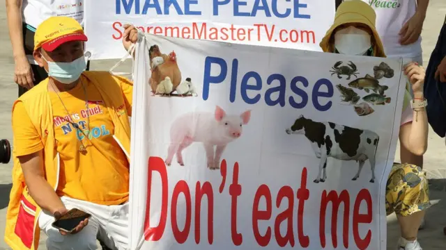 محتجون يتظاهرون في شرم الشيخ.