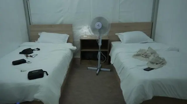 ਵਿਸ਼ਵ ਕੱਪ 