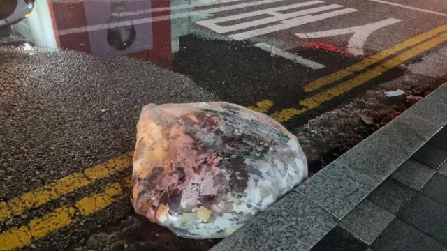 محموله زباله بالونی که در محوطه پرواز ممنوع کره جنوبی فرود آمد