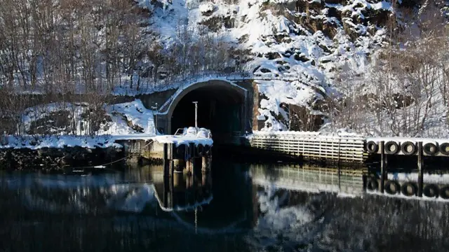Buufata doonii waraanaa lafa jalaa