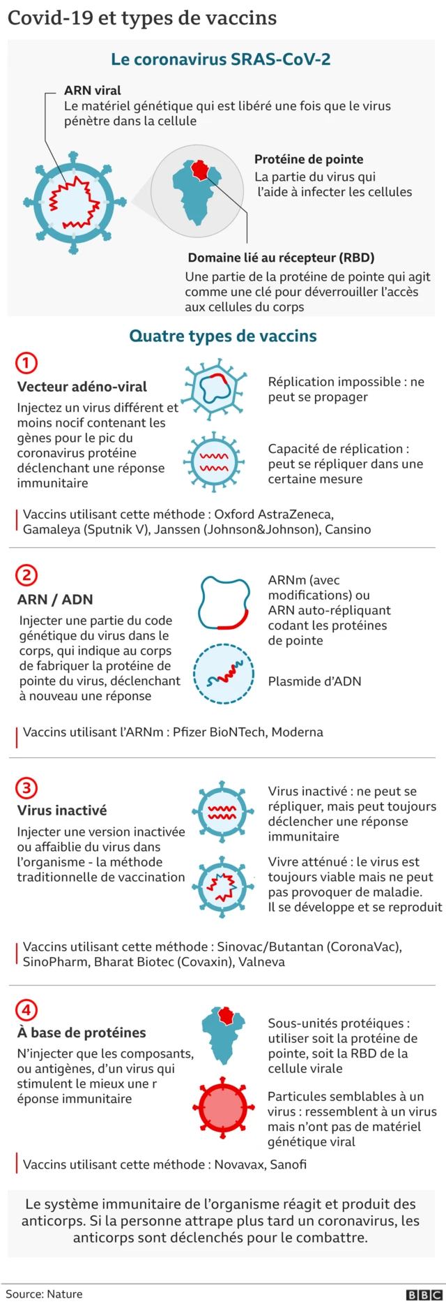 Graphique vaccins