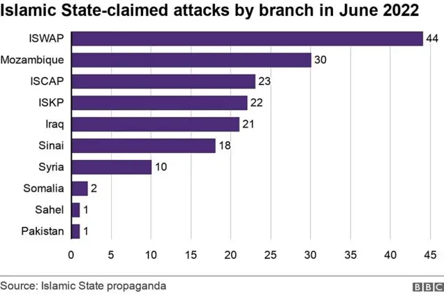 Islamic State Propaganda