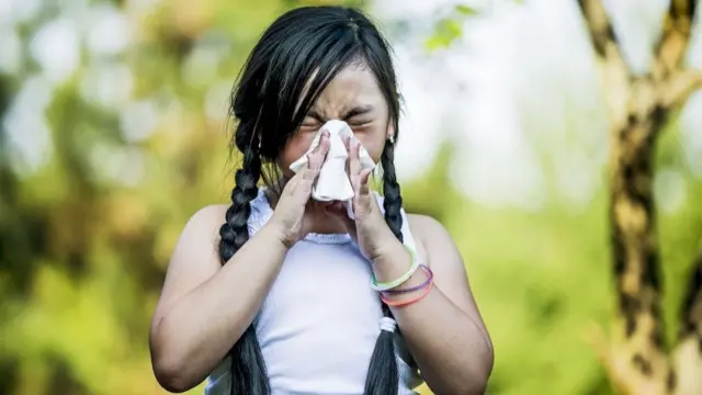 ఇమ్యూనిటీ