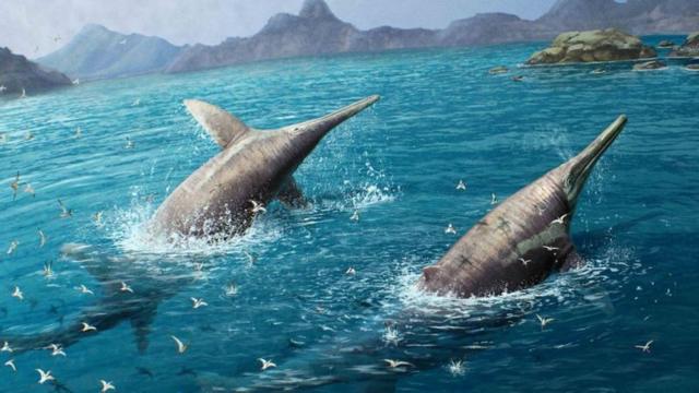 Ilustrasi ichthyosaurus raksasa.