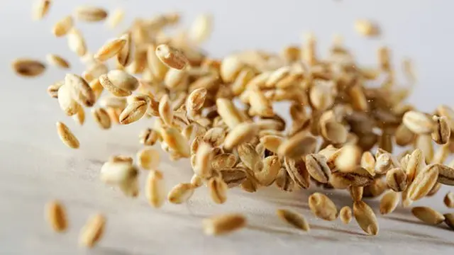 عکس تزئینی است