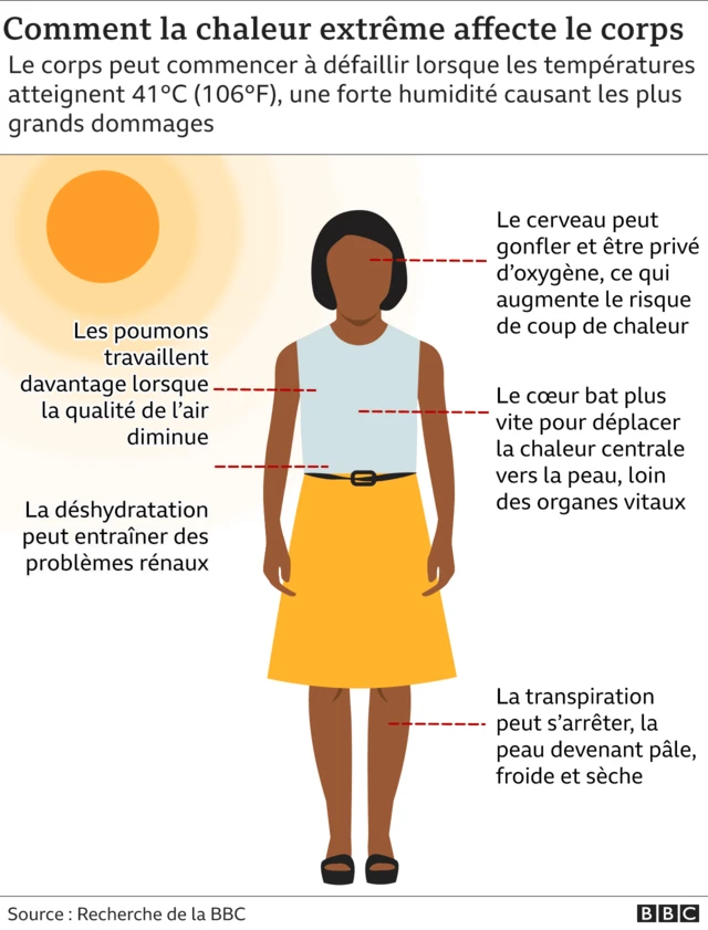 Graphique impact de la chaleur sur l'organisme