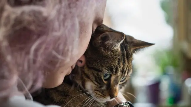 Rachel's eldest daughter, back to camera, holding a cat