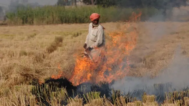 પ્રતીકાત્મક તસવીર