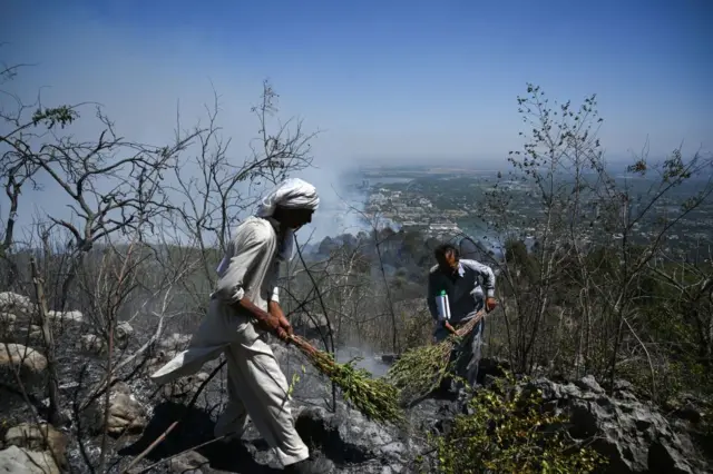 Workers of Capital Development Authority (CDA) clean residue from burned areas after a fire erupted on Margalla Hills forest amid rising temperature on a hot summer day in Islamabad on May 28, 2024.