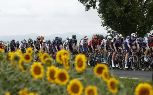 tur d frans, trka kroz francusku, biciklizam, biciklisti, biciklistička trka