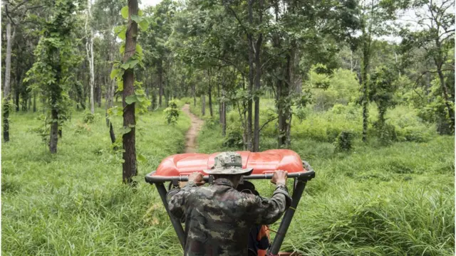 รถไถกำลังขึ้นไปที่เขตป่า