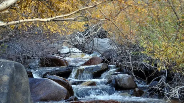 رودخانه‌های افغانستان