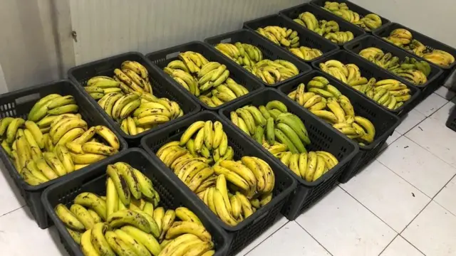 Moos diyaar u ah suuq geynta