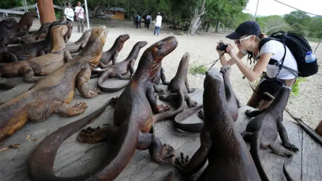 komodo