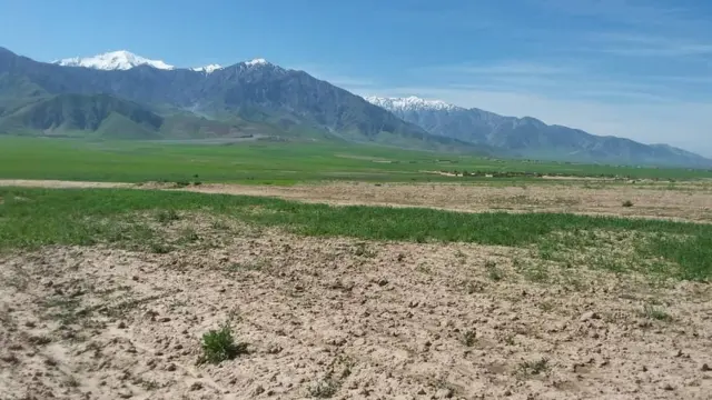افغانستان