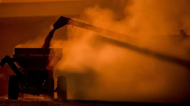 Producción de soja en Brasil