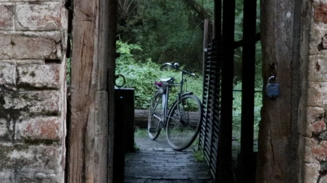 अशोक पेपर मिल